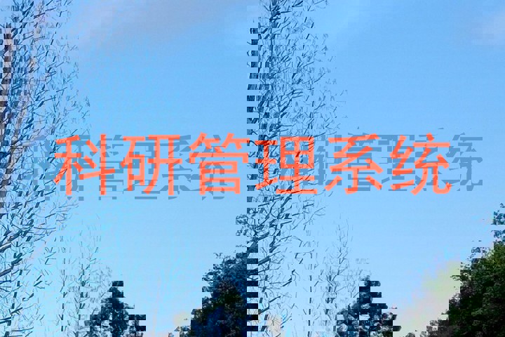 科研管理系统