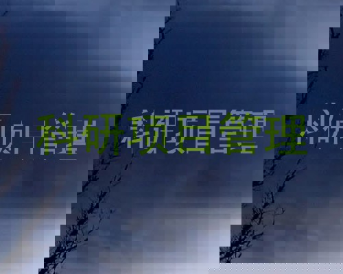 科研项目管理