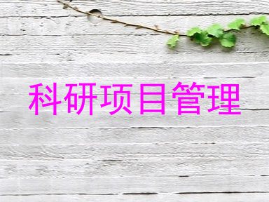 科研项目管理