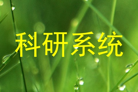 科研系统