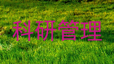 科研管理