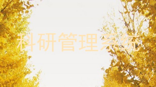 科研管理系统