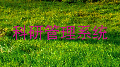 科研管理系统