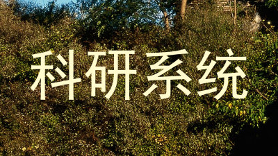 科研系统