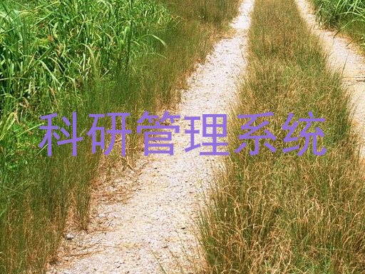 科研管理系统