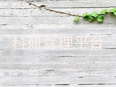 科研管理平台