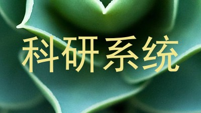 科研系统