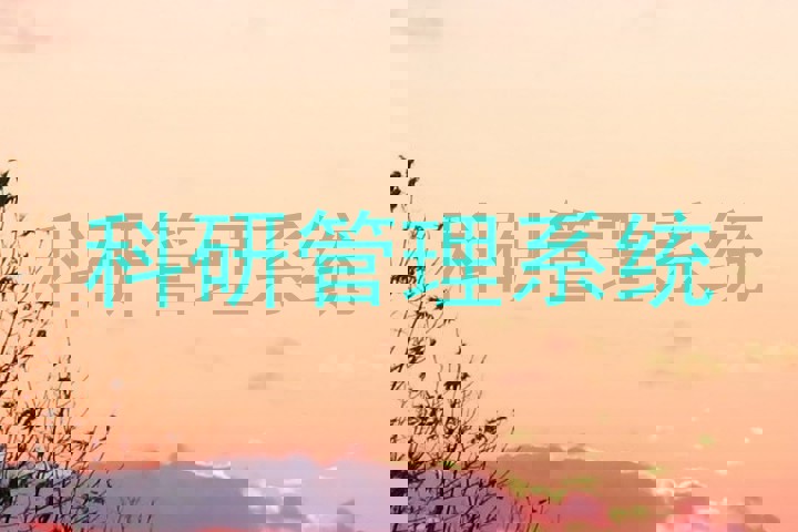 科研管理系统