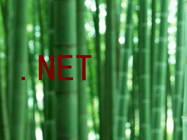 .NET
