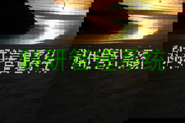 科研管理系统