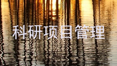 科研项目管理