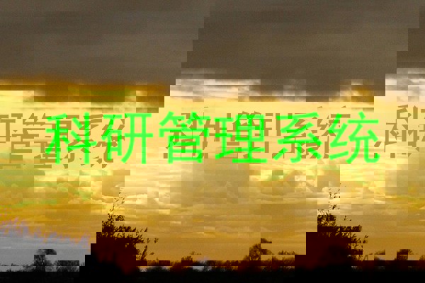 科研管理系统
