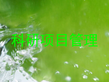 科研项目管理
