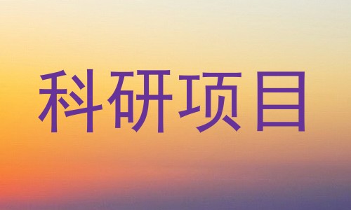 科研项目
