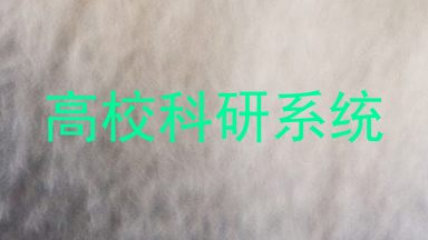 高校科研系统