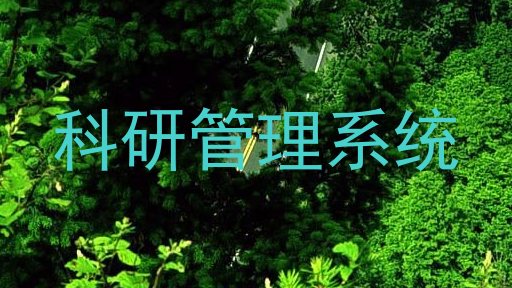 科研管理系统