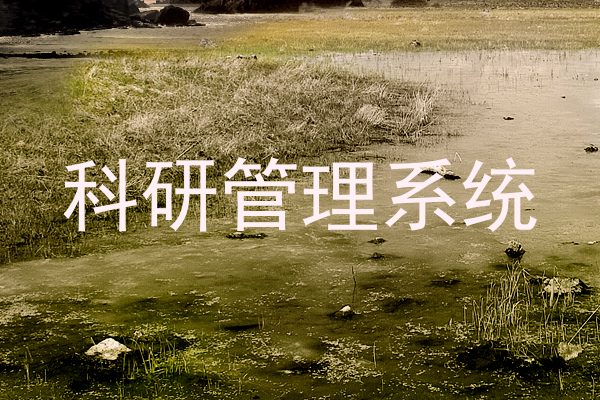 科研管理系统