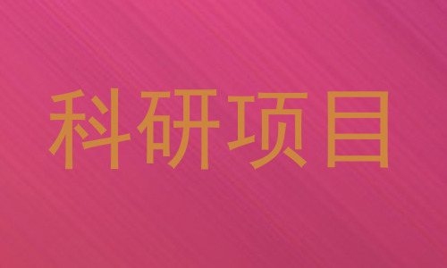 科研项目