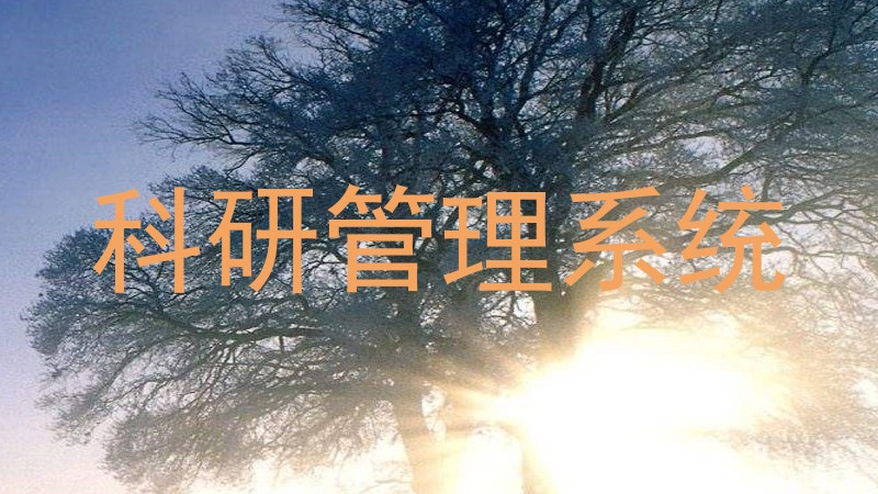 科研管理系统