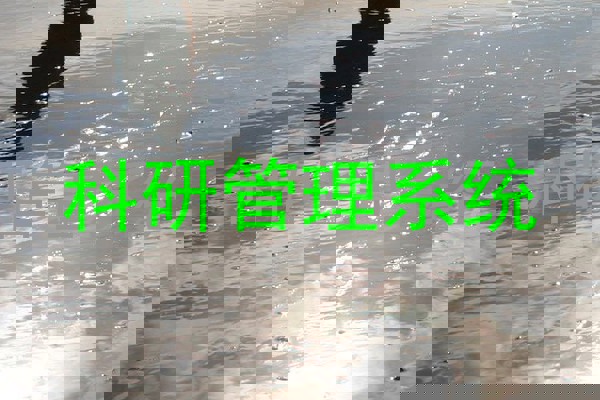 科研管理系统
