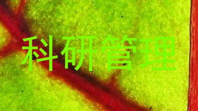 科研管理