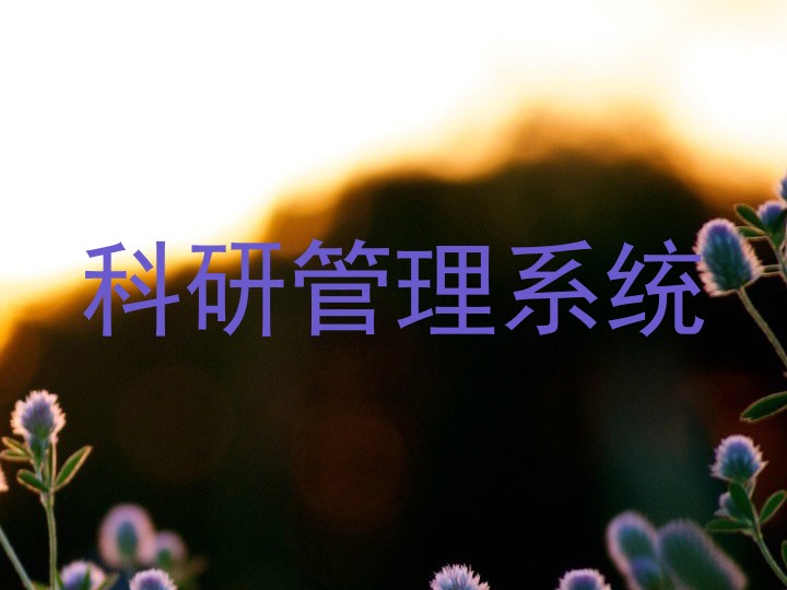 科研管理系统