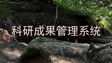 科研成果管理系统
