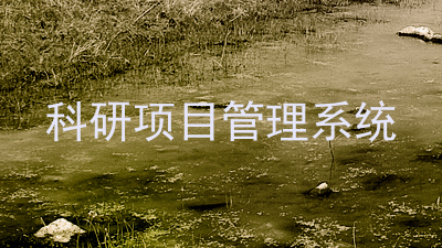 科研项目管理系统