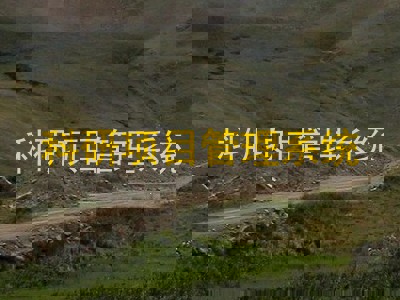 科研项目管理系统