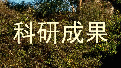 科研成果