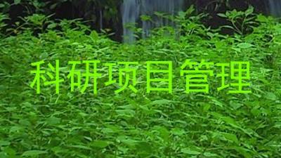 科研项目管理