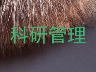 科研管理