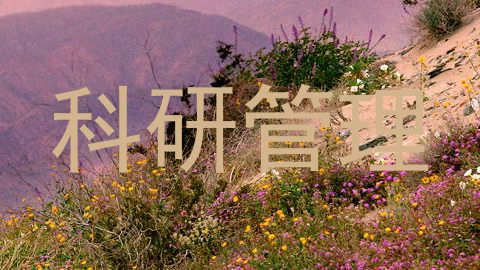 科研管理