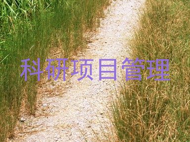 科研项目管理