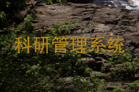 科研管理系统