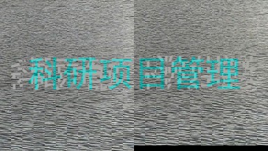 科研项目管理