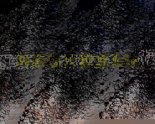 科研项目管理系统