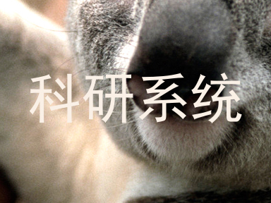 科研系统