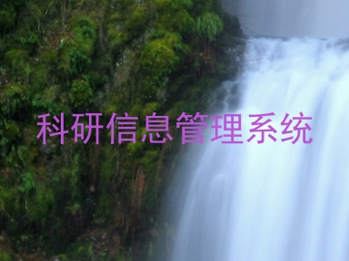 科研信息管理系统
