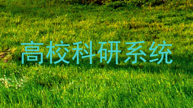 高校科研系统