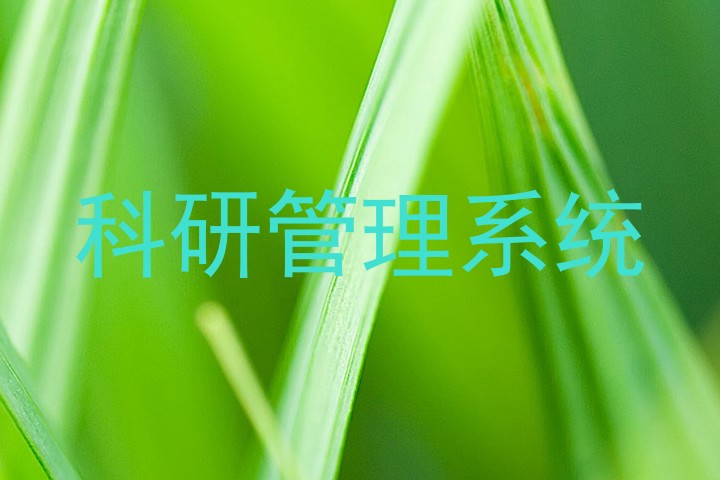 科研管理系统