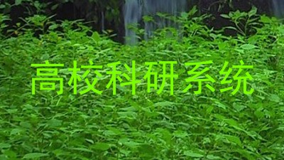 高校科研系统