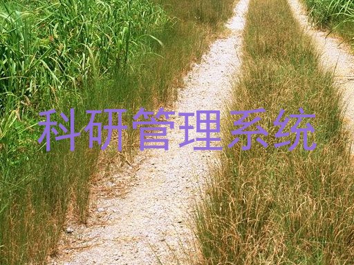 科研管理系统