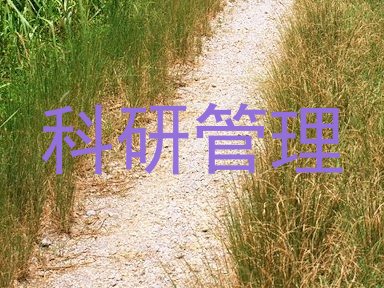 科研管理