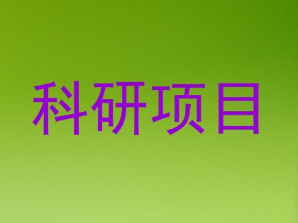 科研项目