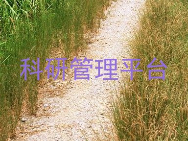 科研管理平台
