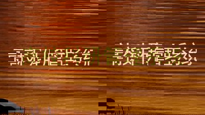 高校科研管理系统