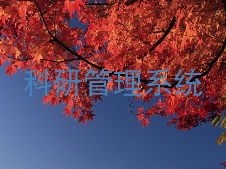 科研管理系统