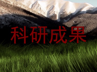 科研成果