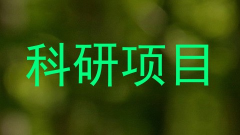 科研项目